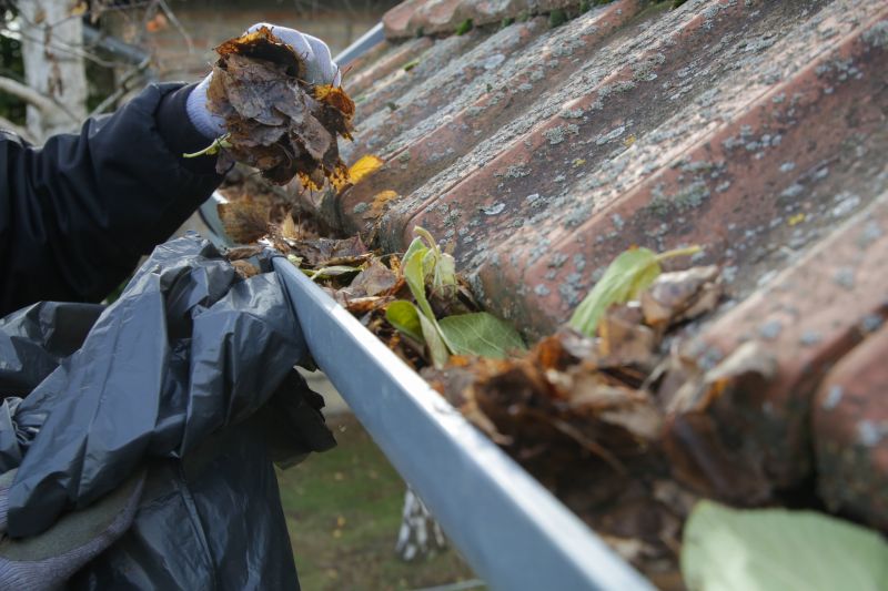 Post-Storm Gutter Cleaning